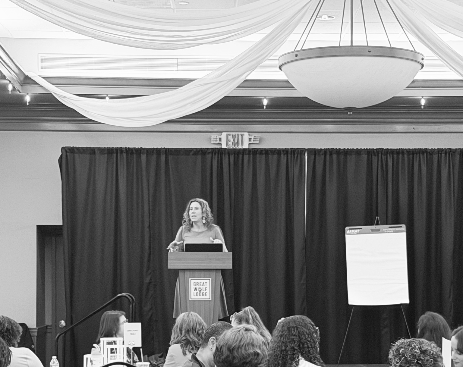 Laura Crosby speaking to a conference audience from the stage